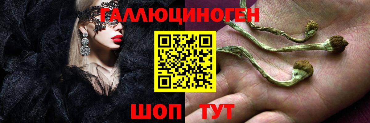 Галлюциногенные грибы прущие грибы  Вход с VPN  Янаул 